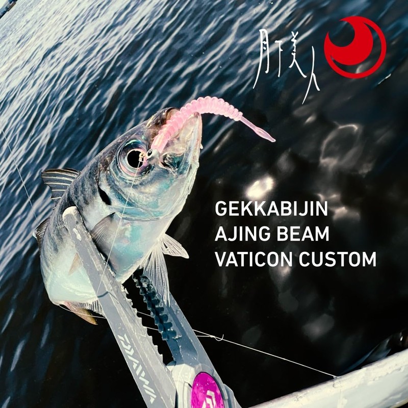 DAIWA Lure, Tsukiyobijin, Aging Beam, Bachicon Custom 3, Shell Pink