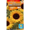 Takii Shubyo FHM602EBF Sunflower F1 Sunrich Orange