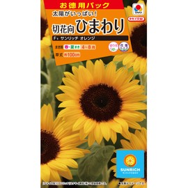 Takii Shubyo FHM602EBF Sunflower F1 Sunrich Orange