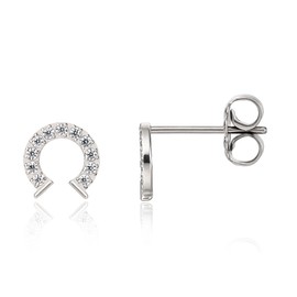 Limerencia F136 Pure Titanium Hypoallergenic Implant Grade Studs, G23 Small Dainty Cubic Zirconia Earrings for Women's Sensitive Ears(horseshoe)