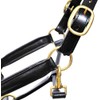 Aces Equine LEATHER HORSE HEADCOLLAR HALTER FULLY RAISED AND PADDED