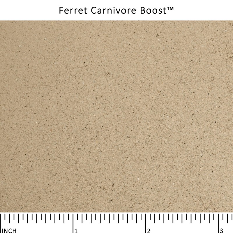 Wysong Ferret Carnivore Boost™