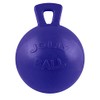 Horsemen's Pride Horsemen's Pride Jolly Ball - Blue, 10 inch