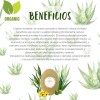 Jabón Orgánico Vitality Shop Sábila Aceite Ozonizado Vitamina E 100g