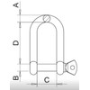MarineNow 316 Stainless Steel Long D-Shackle Marine Grade Choose Size