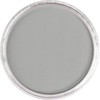 Panpastel - Color Pastel Gris Neutro (Neutral Grey Tint) 9