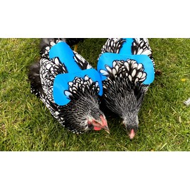 DOWN UNDER OUTDOORS 4 Pack Very Very Small PVC Chicken Saddles, Bantams, Young Birds (Blue)