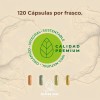 Omega 3 Raíces Zen Platinum 2000mg 120 Cápsulas Sin Sabor