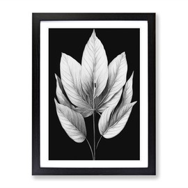 A Monochrome Leaves No.1 Framed Print for Living Room Bedroom Home Office Décor, Wall Art Picture Ready to Hang, Black A4 Frame (34 x 25 cm)