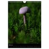 Mushrooms (Wall Calendar 2025 DIN A4 High), CALVENDO Monthly Calendar