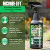 MICROBE-LIFT Soy-Based Birdbath and Statuary Cleaner and Surface Treatment for
