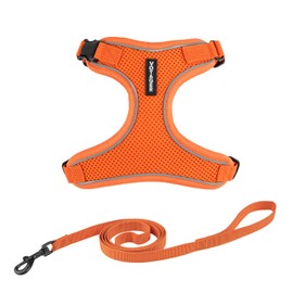 Voyager Escape Proof Cat Harness and Leash Set with Reflective Stitching, Neoprene Handle 5ft - Supports Small, Medium and Large Cats, Kittens for Walking by Best Pet Supplies - Orange, XXS