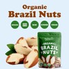 Food to Live - Organic Brazil Nuts, 2 Pounds Non-GMO,