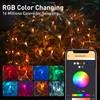 Smart Net Lights Outdoor APP Programmable, 150 LEDs 4 x