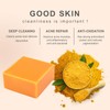 Strawberry Sea moss Turmeric Soap Body Cleanser with Mesh Cleanser
