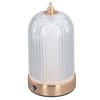 LED Night Light Multipurpose Stylish Innovative Remote Color Changing Crystal
