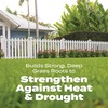 Scotts Turf Builder Bonus S Southern Weed & FeedF2 -