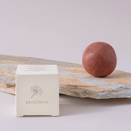 ERIGERON All-In-One Vegan Cruelty-Free All Natural Ingredients Handmade Cacao Shampoo Bar with Zero Waste Box Packaging