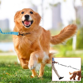 Dog Running Lead, Hands Free Dog Lead With Removable Waist Bag And Adjustable Waists Belt, Reflective Elastic Dogs Running Belt, Double Handle Leash, Suitable For All Dogs Breeds