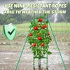 Tomato Plant Support Cages, 48 inches, 3 Pack, Garden Trellis