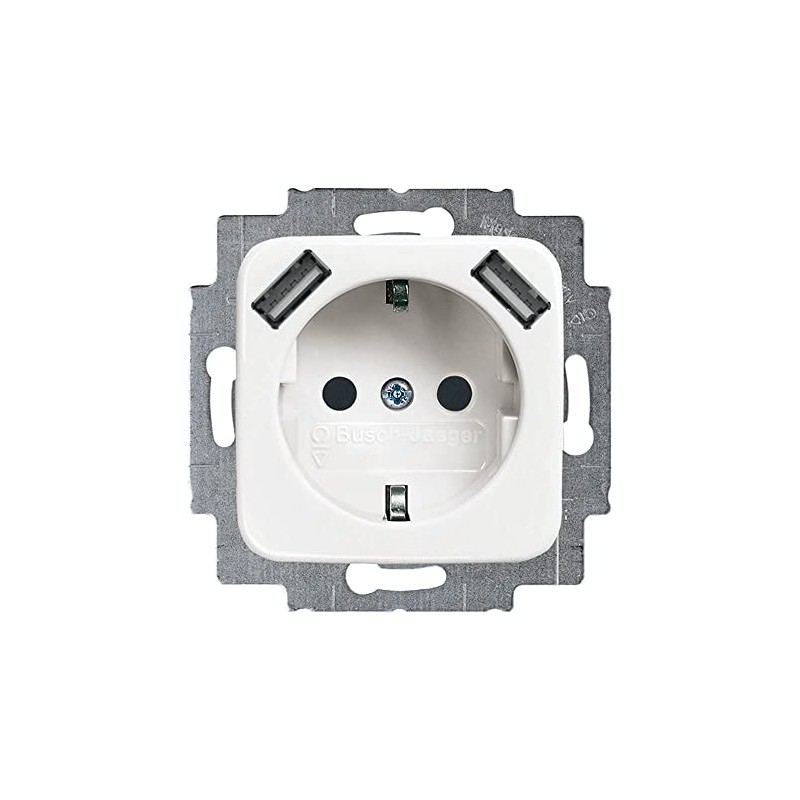 Busch-Jaeger 20 EUCB2USB-214 Schuko 2x USB Sockets Alpine White 2CKA002011A6264