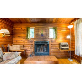 Alpenklang Cover for 48 Bass Accordions - Protective Cover for Accordion - Suitable for Accordions with 48 Bass - Dimensions (W x D x H): Approx. 33 x 22 x 32 cm - Made of PVC - Transparent