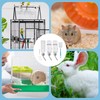 Pack of 3 Drinking Bottle Rabbit with Holder, 350 ml
