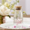 Kate Aspen 12 Piece Vintage Milk Favor Jar, DIY Baby