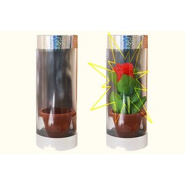 Look A Rose In A Tube