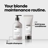 Silver Professional Conditioner 200 ml