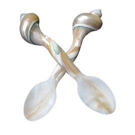 Set of 02 Spoons Shell Spoon Mother of Pearl Caviar Spoons W Round Handle for Caviar, Egg, Ice Cream, Coffee, Restaurant Serving (2 Pieces,7 Inches)