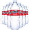 Fruit2o Strawberry Flavored Water, 16.9 fl oz Plastic Bottles (12