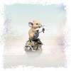 Richard Cooper Studio Cold Cast Bronze Mouse with Daisy -