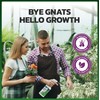 Eco Defense Gnat Spray for Indoor Plants – Fungus Gnat