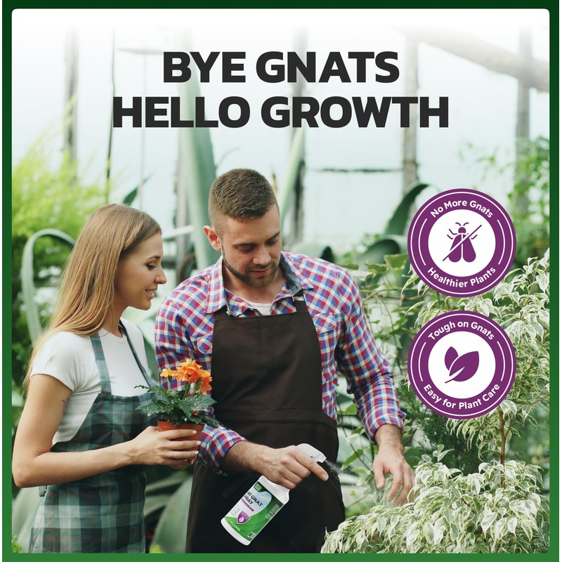 Eco Defense Gnat Spray for Indoor Plants – Fungus Gnat