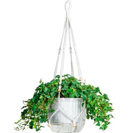 Melphoe Self Watering Hanging Planters for Indoor Plants, 1 Pack 8.3 Inch Outdoor Hanging Plant Pot Basket, 2 Kinds of Plant Hangers Macrame 35.5’’ & Metal Chain 19.6’’ Long for Garden Home Decor