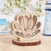 NBEADS Seashell Display Box, Shell Shaped Wooden Shell Display Case