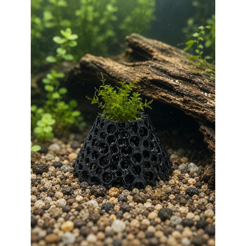 Shrimp Cave 2-Pack, Volcano-Style Shrimp Hides