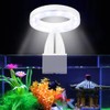 5W LED Clip On Energy Saving Lamp Water Plant for