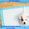 Dog Pee Pads 22x22 – 50 Count Super Absorbent Puppy