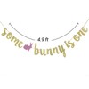 Some Bunny is One banner, 1st Birthday Banner, Bunny Theme,