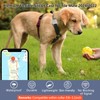 Frylaa Waterproof Dog Collar Holder Case for Tile Mate 2024/Mate