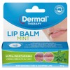 Dermal Therapy Lip Balm Mint 10g