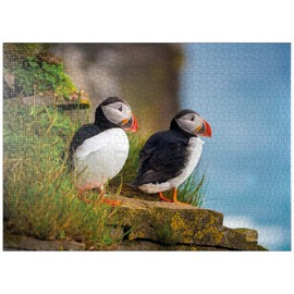 MyPuzzle Endangered Species - Atlantic Puffin - Premium 1000 Piece Jigsaw Puzzle for Adults