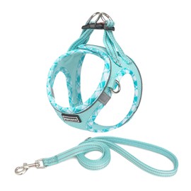 Mercano Soft Mesh Dog Harness and Leash Set, No-Chock Step-in Reflective Breathable Lightweight Easy Walk Vest Harnesses with Safety Buckle for Small Dogs, Cats (Light Blue, XL)