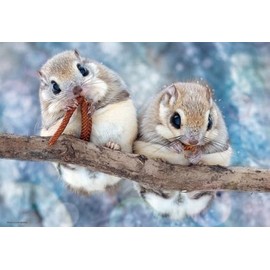 Beverly 300-102 Jigsaw Puzzle, Mogimogu Ezomomonga (10.2 x 15.0 inches (26 x 38 cm), Made in Japan, 300-102