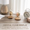MyGift 5 Inch Mini Clear Glass Bell Display Cloches with