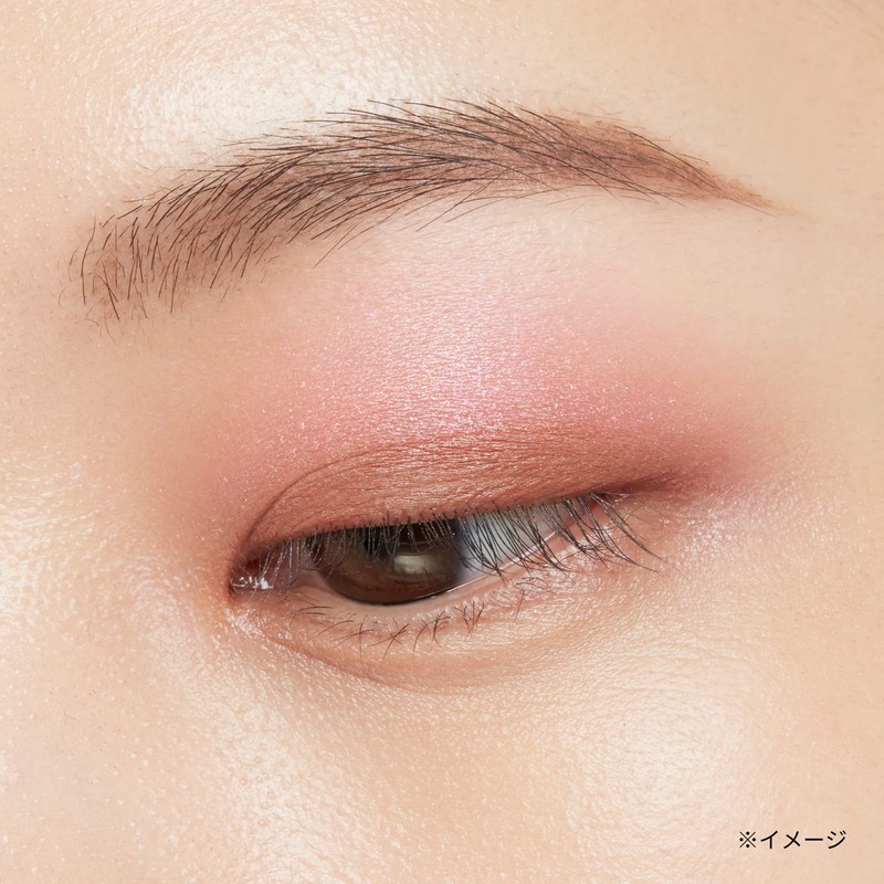 ettusais Eye Edition (Color Palette) 08 Cassia Cinnamon Eyeshadow, 0.1