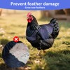 CLYORA Chicken Saddles for hens, Chicken Apron Back Protector for