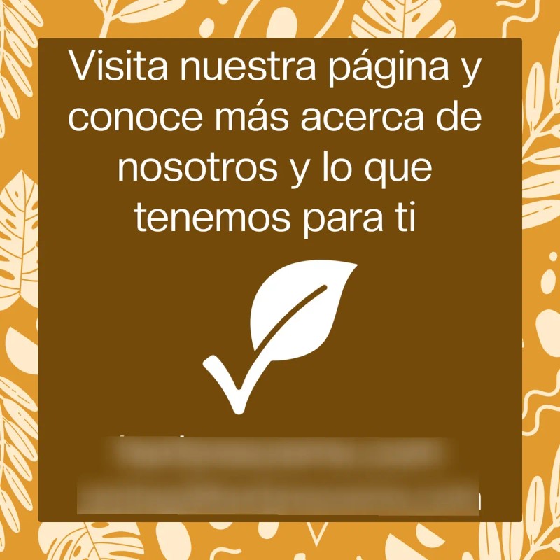 Shampoo Herbreeze Romero Cola Caballo